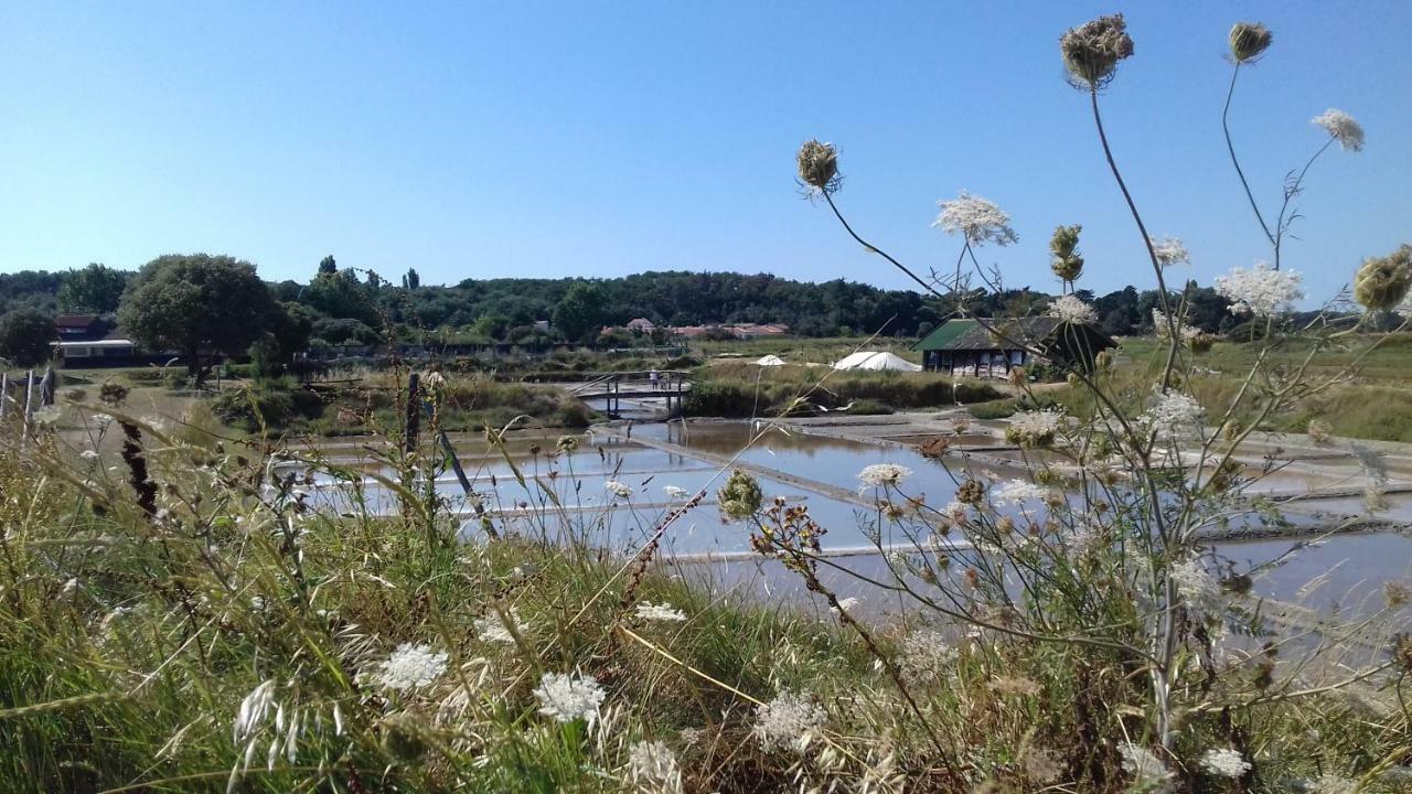 Apartmán La Chaumette Les Sables-dʼOlonne Exteriér fotografie